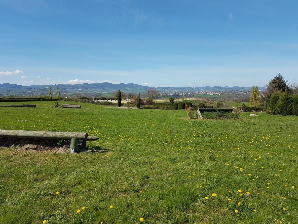 Gite De Prejeurin Echalas Экстерьер фото
